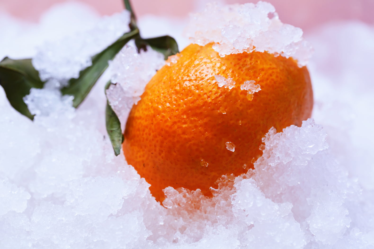 vitamin c - zima - herba.hr - imunitet - prehlada - virusi - bakterije - mediteranski faktor - biljna ljekarna