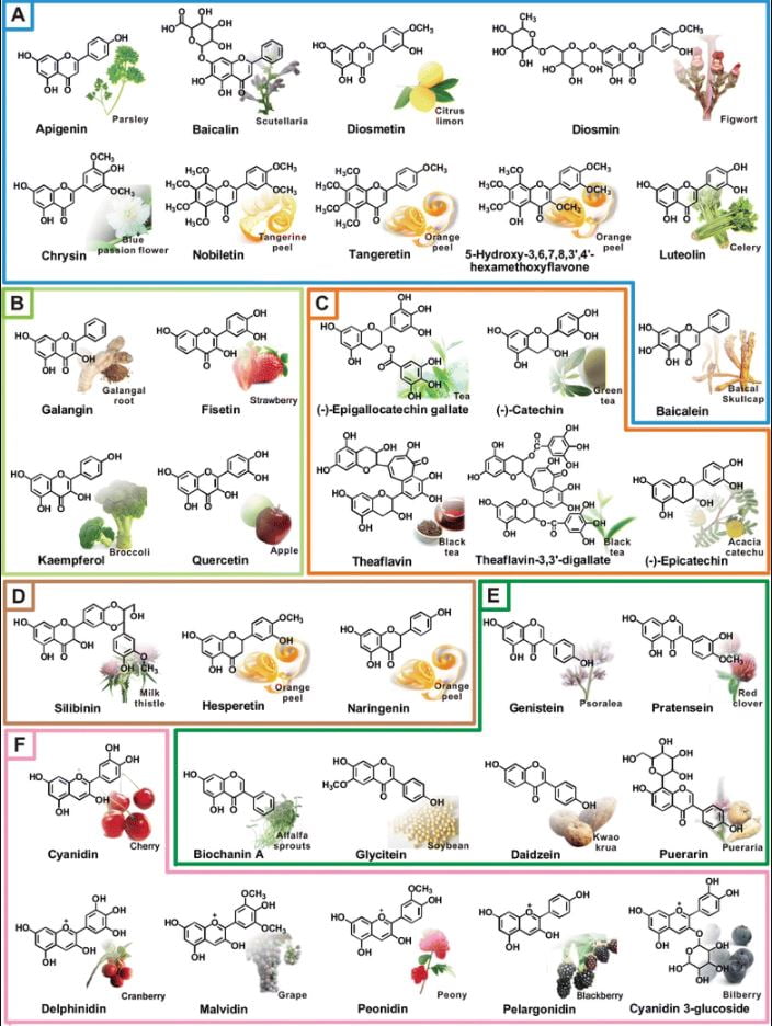 vitamin c, bioflavonoidi, herba.hr, zdravlje, vitamin p, imunitet