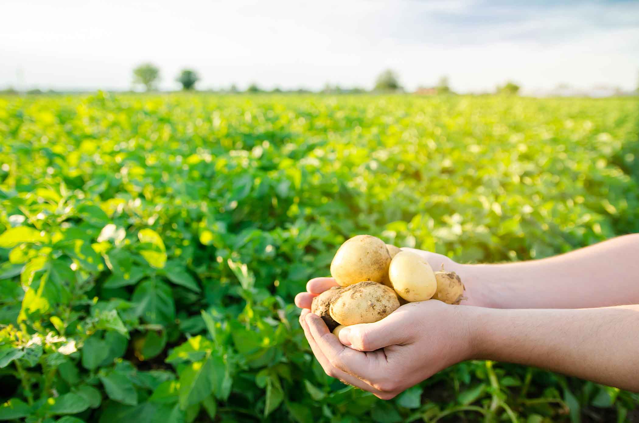 Etička i održiva prehrana 